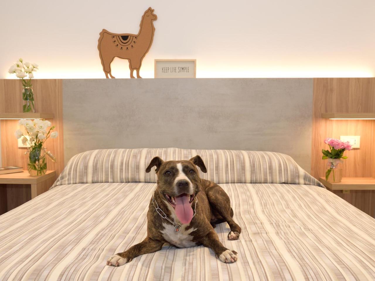 Hotel Abc Cervia Zewnętrze zdjęcie